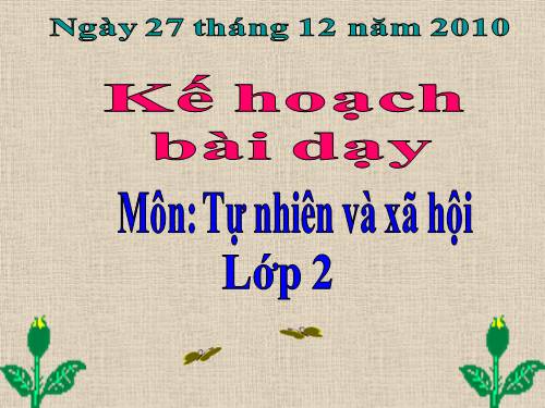 Bài 24. Cây sống ở đâu?