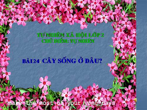 Bài 24. Cây sống ở đâu?