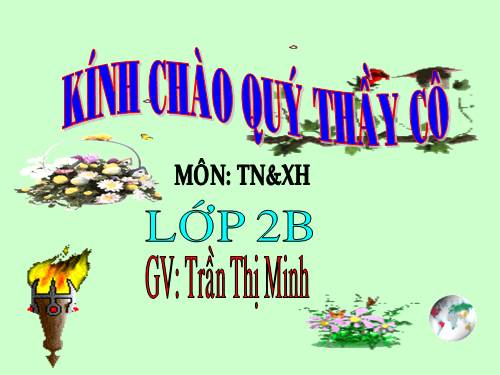 Bài 13. Giữ sạch môi trường xung quanh nhà ở