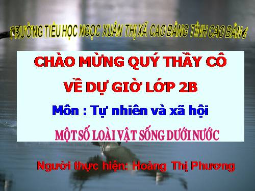Bài 29. Một số loài vật sống dưới nước