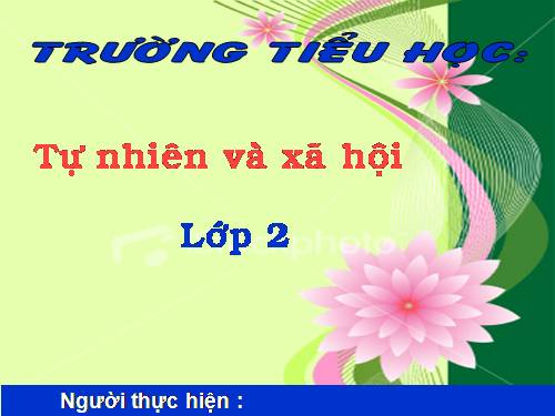 Bài 30. Nhận biết cây cối và các con vật