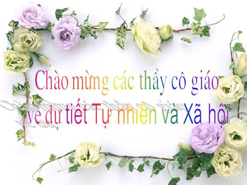 Bài 25. Một số loài cây sống trên cạn