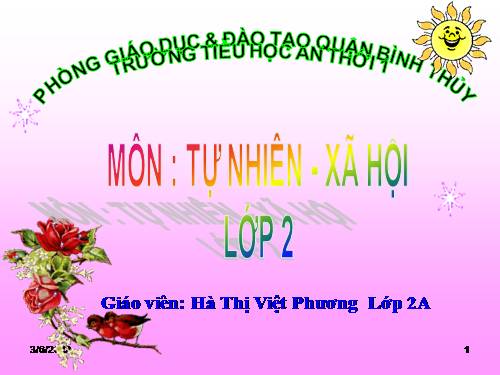 Bài 29. Một số loài vật sống dưới nước