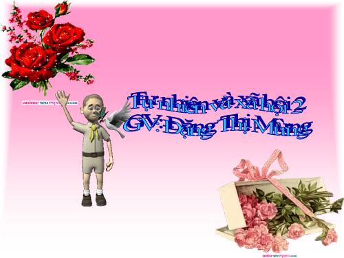 Bài 4. Làm gì để xương và cơ phát triển tốt?