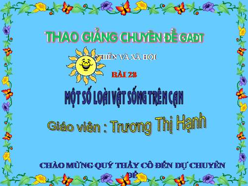 Bài 28. Một số loài vật sống trên cạn
