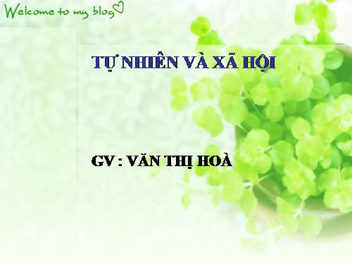 Bài 24. Cây sống ở đâu?