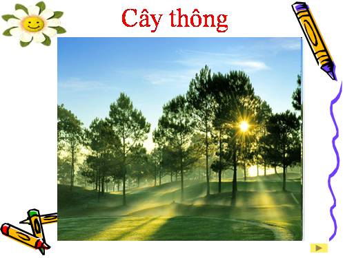 Bài 24. Cây sống ở đâu?