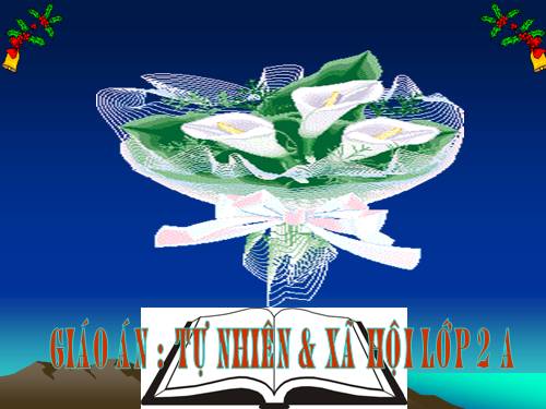 Bài 11. Gia đình