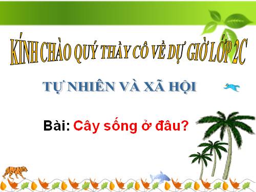 Bài 24. Cây sống ở đâu?