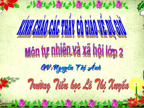 Bài 21. Cuộc sống xung quanh