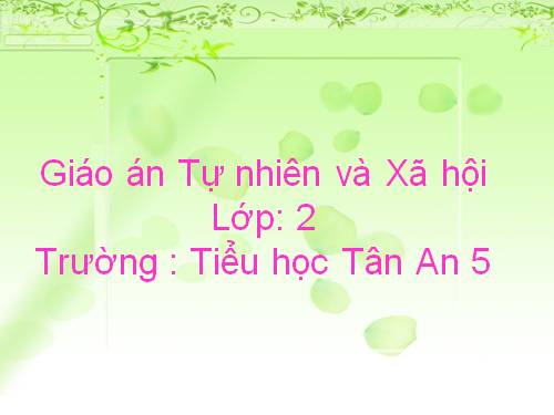 Bài 25. Một số loài cây sống trên cạn
