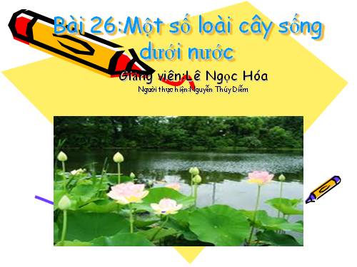 Bài 26. Một số loài cây sống dưới nước