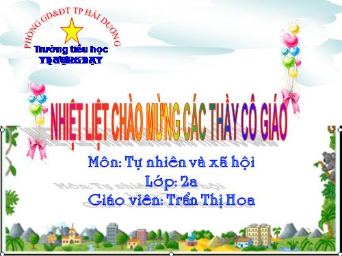 Bài 23. Ôn tập: Xã hội