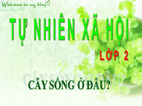 Bài 24. Cây sống ở đâu?