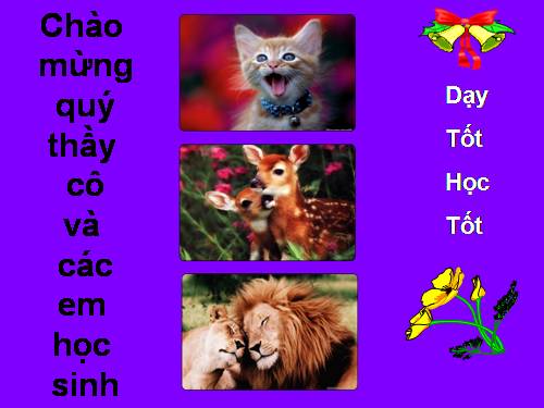 Bài 28. Một số loài vật sống trên cạn