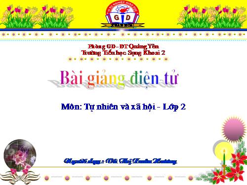 Bài 24. Cây sống ở đâu?