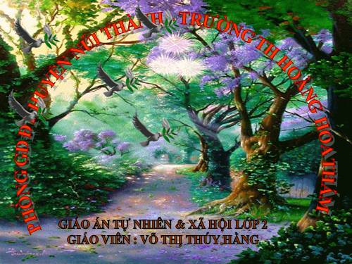 Bài 24. Cây sống ở đâu?