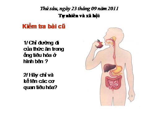 Bài 6. Tiêu hoá thức ăn