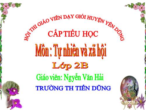 Bài 23. Ôn tập: Xã hội
