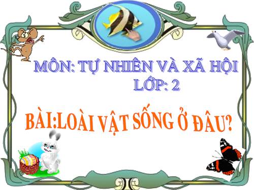 Bài 27. Loài vật sống ở đâu?