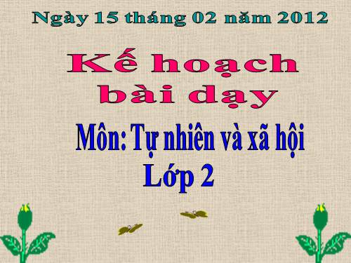 Bài 24. Cây sống ở đâu?