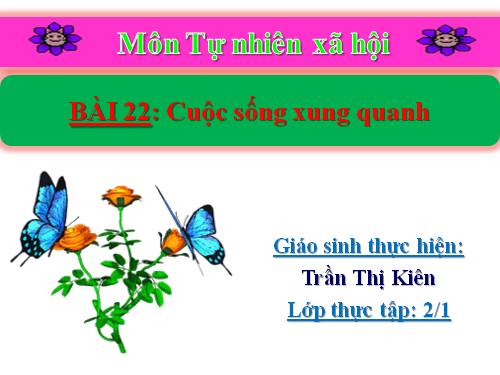 Bài 22. Cuộc sống xung quanh (tiếp theo)