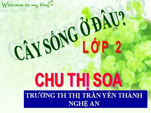 Bài 24. Cây sống ở đâu?