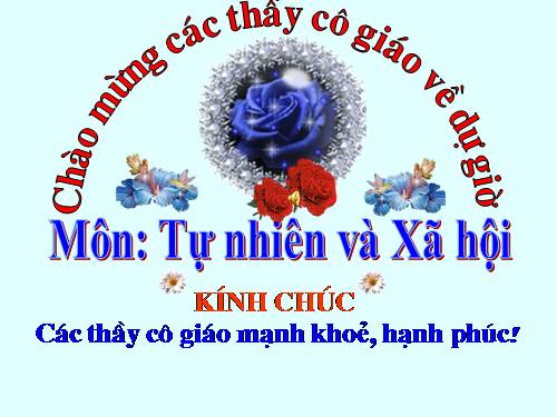 Bài 30. Nhận biết cây cối và các con vật