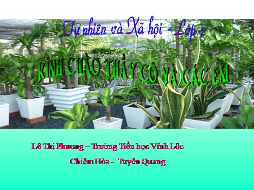 Bài 24. Cây sống ở đâu?