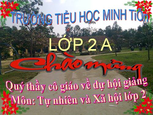Bài 17. Phòng tránh ngã khi ở trường