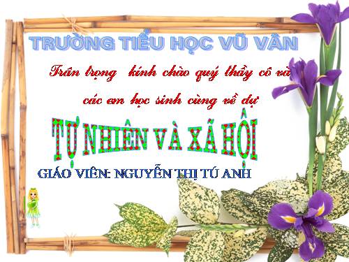 Bài 13. Giữ sạch môi trường xung quanh nhà ở