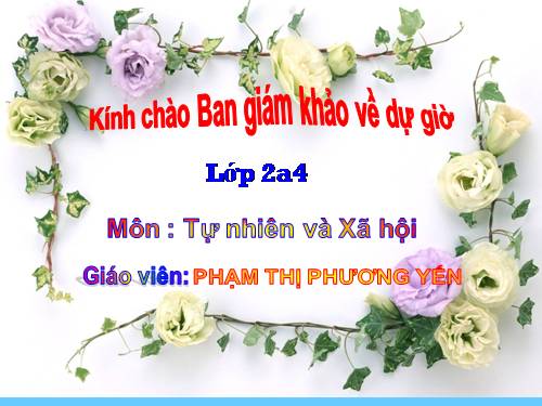 Bài 8. Ăn, uống sạch sẽ