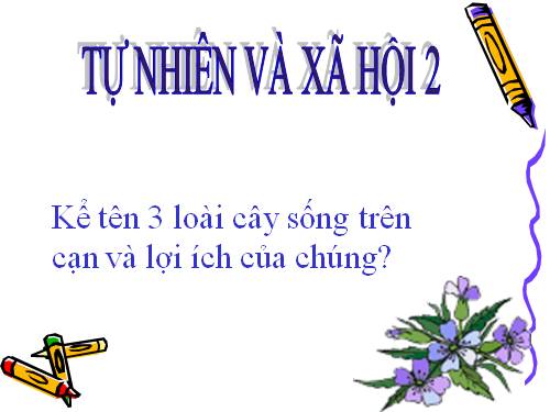 Bài 26. Một số loài cây sống dưới nước
