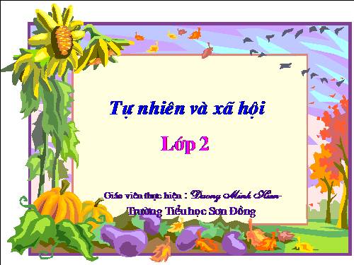Bài 8. Ăn, uống sạch sẽ