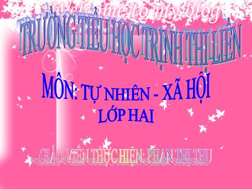 Bài 20. An toàn khi đi các phương tiện giao thông