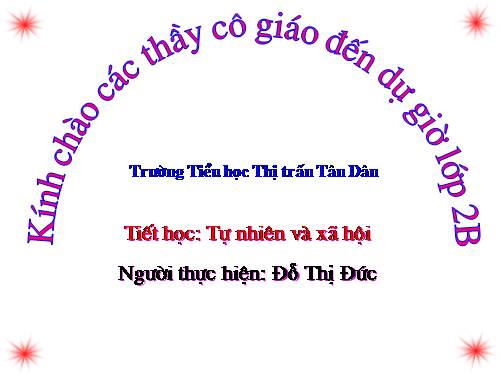 Bài 20. An toàn khi đi các phương tiện giao thông