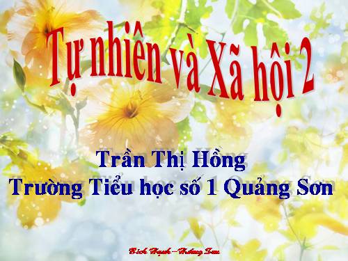 Bài 26. Một số loài cây sống dưới nước