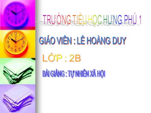 Bài 30. Nhận biết cây cối và các con vật