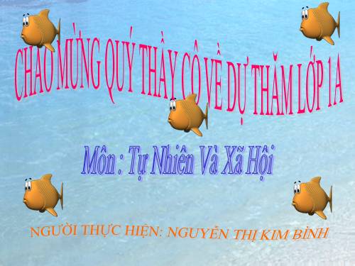 Bài 29. Một số loài vật sống dưới nước