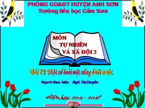 Bài 29. Một số loài vật sống dưới nước