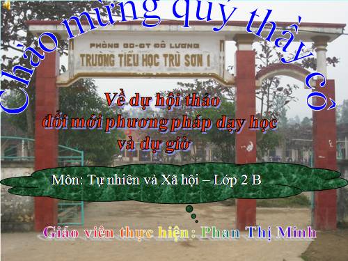 Bài 20. An toàn khi đi các phương tiện giao thông