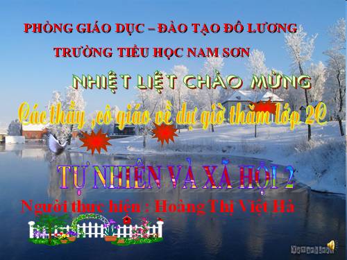 Bài 24. Cây sống ở đâu?