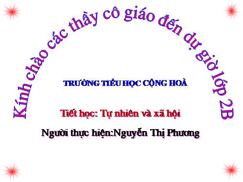 Bài 20. An toàn khi đi các phương tiện giao thông