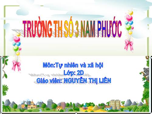 Bài 19. Đường giao thông
