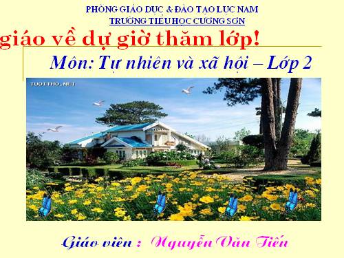 Bài 17. Phòng tránh ngã khi ở trường
