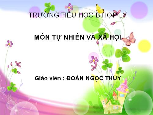 Bài 8. Ăn, uống sạch sẽ