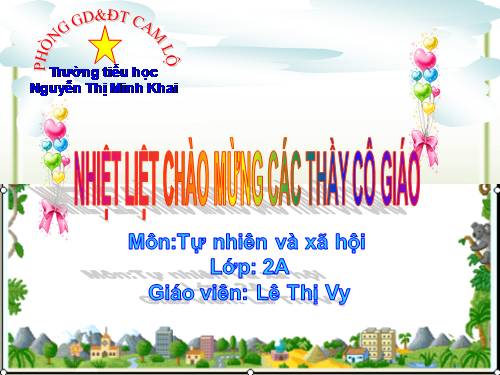 Bài 19. Đường giao thông
