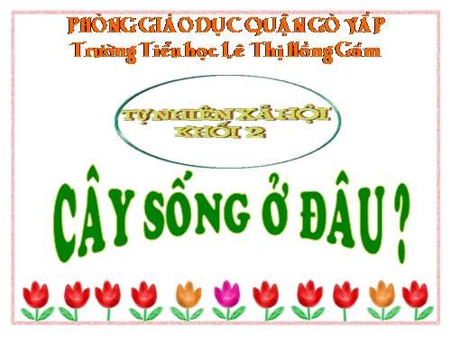 Bài 24. Cây sống ở đâu?