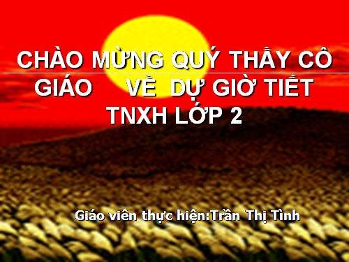 Bài 11. Gia đình