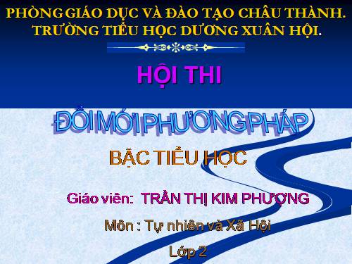Bài 24. Cây sống ở đâu?
